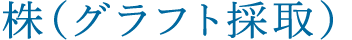 株（グラフト採取）