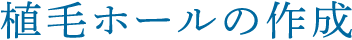 植毛ホールの作成