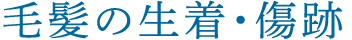 毛髪の生着・傷跡